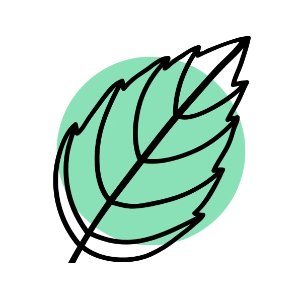 Minty - Snus Vikings