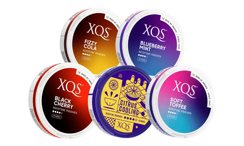 XQS 8mg BUNDLE